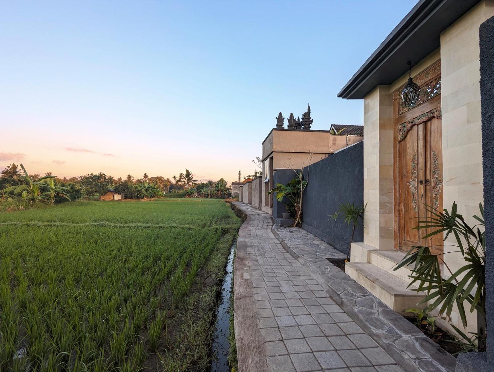 Villa Na-Na Ubud מראה חיצוני תמונה